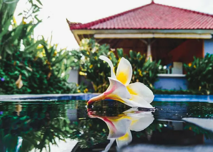 Hokita Home Stay